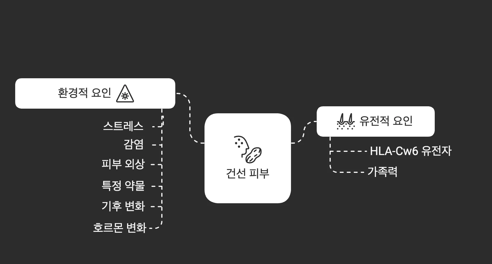 건선의 원인 도식 — 환경적 요인(스트레스·감염·피부 외상·특정 약물·기후 변화·호르몬 변화)과 유전적 요인(HLA-Cw6 유전자·가족력)이 건선 피부로 이어지는 관계도